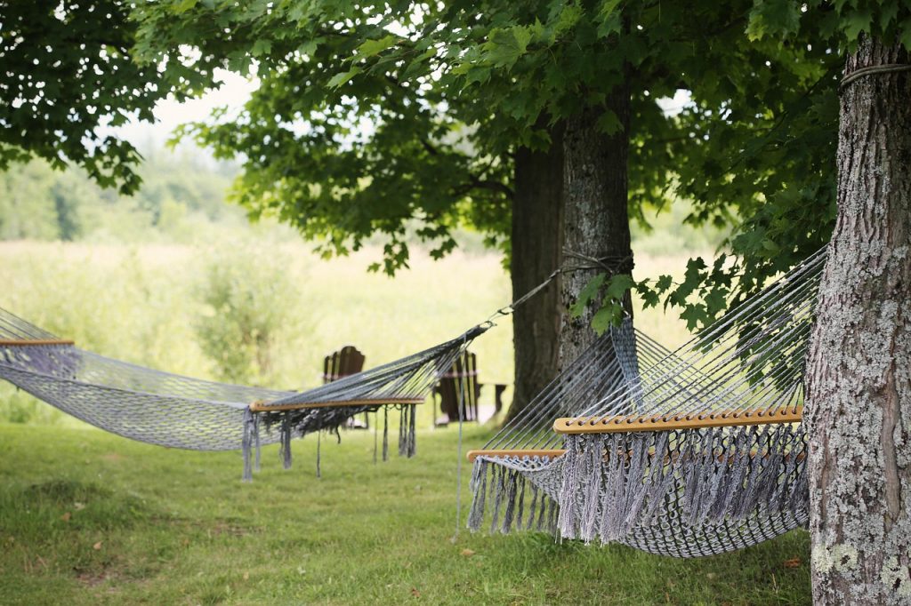 tree, hammocks, trees-413714.jpg