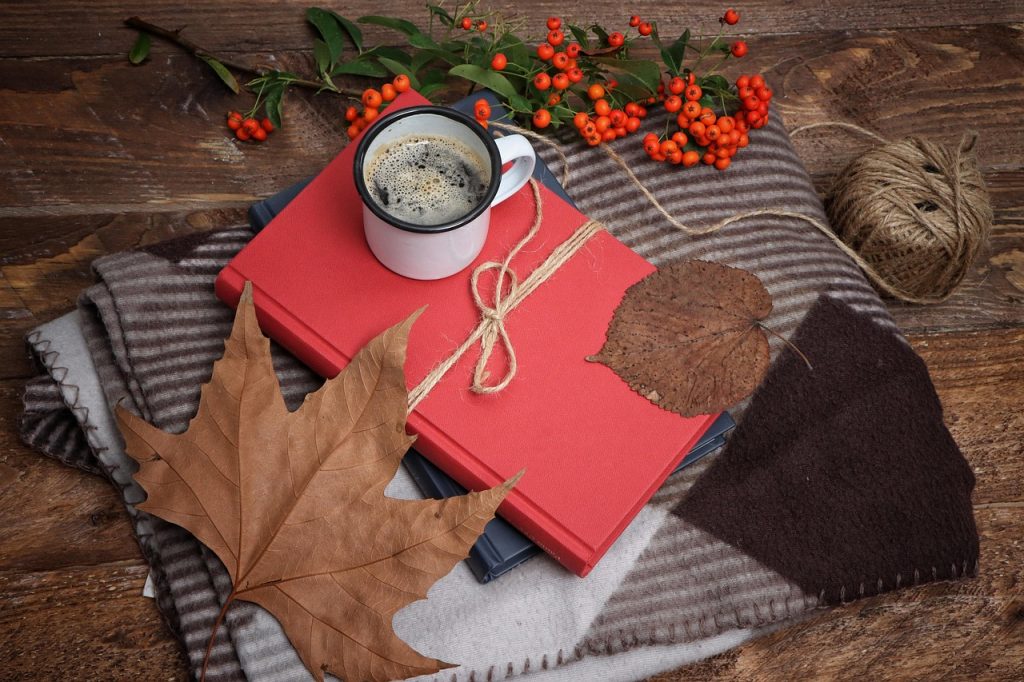 reading, books, autumn, foliage, cozy, aesthetic, autumn, cozy, cozy, cozy, aesthetic, aesthetic, aesthetic, aesthetic, aesthetic-7545724.jpg